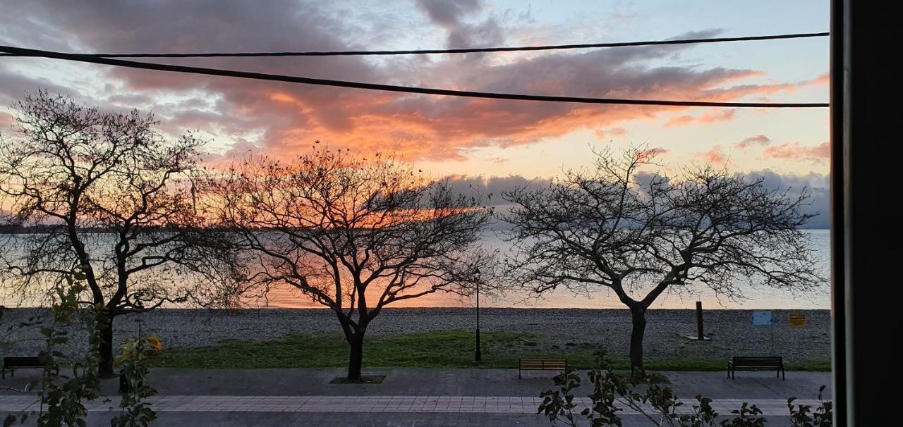 Nafpaktos Beach House Sea View Apartment First Floor 외부 사진